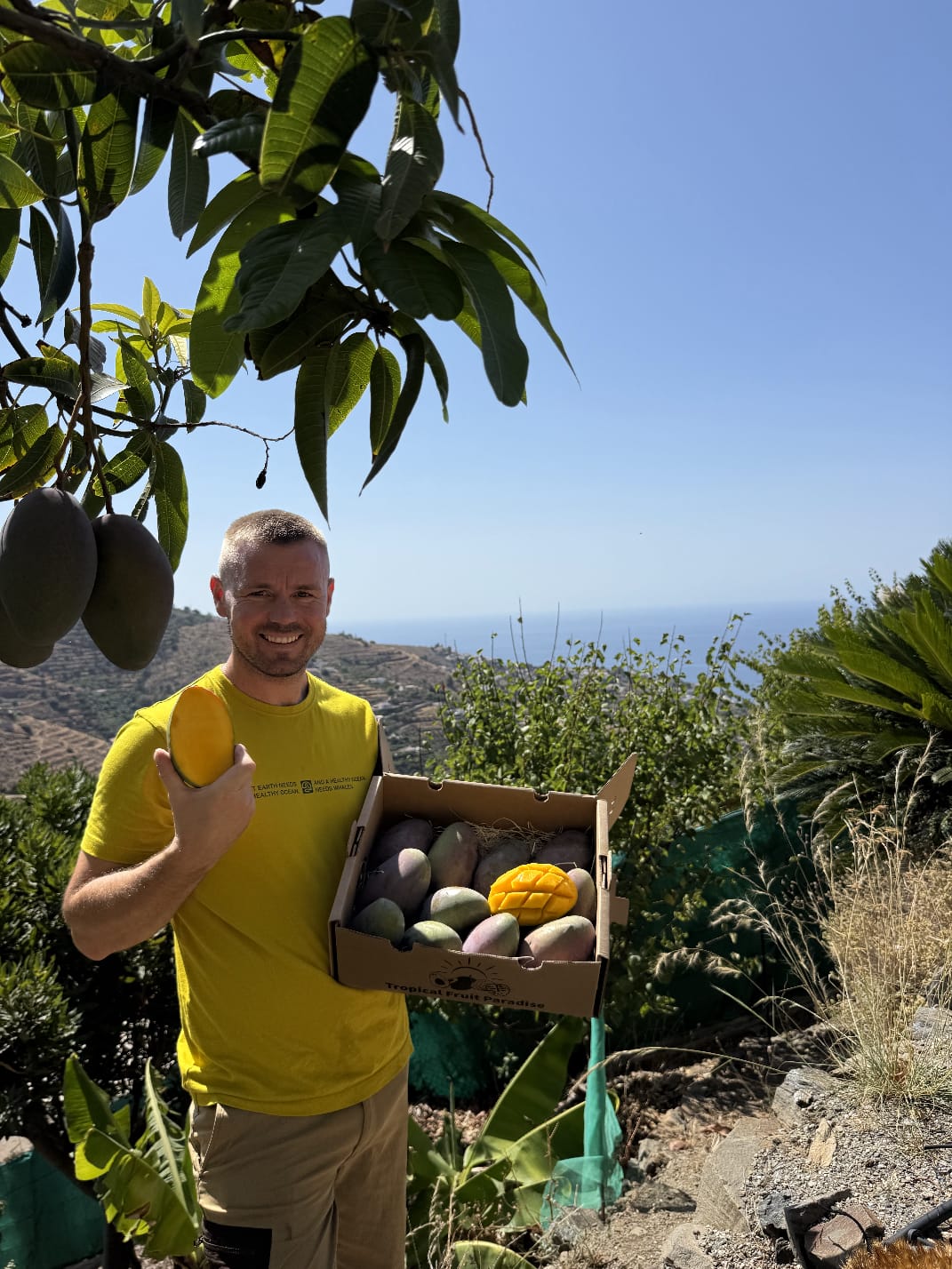 Mango Osteen Bio von Julian