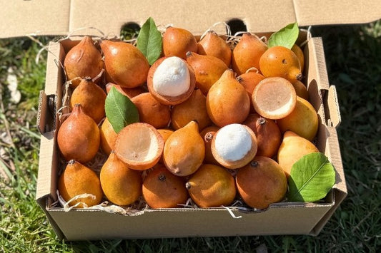 Achachairu Aktionswoche %