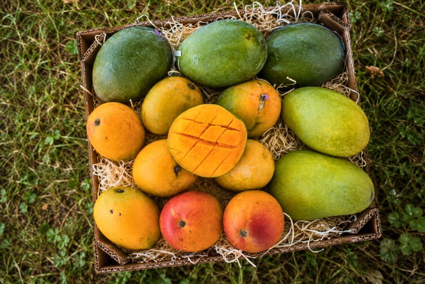 Ägyptische Mango Entdeckerbox (3kg)