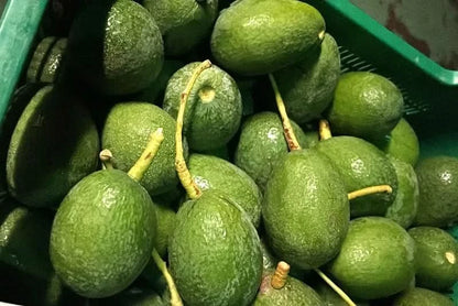 Avocado-Mix Box (8 Sorten!) Sonntags-Aktion % 3kg