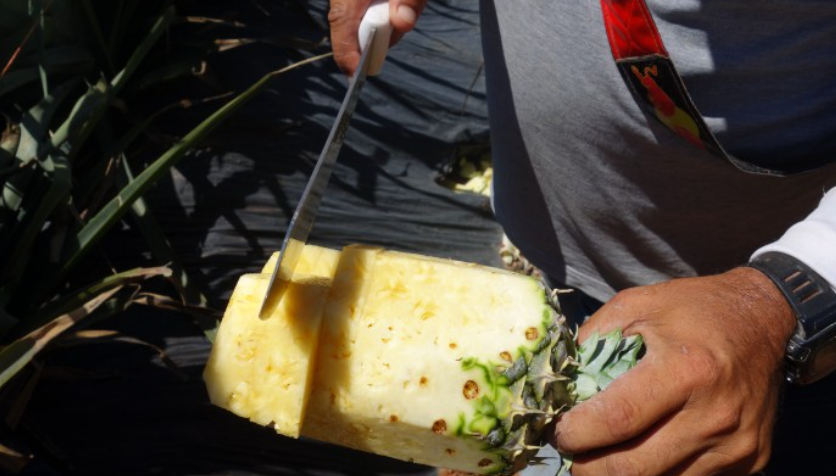 Ananas Extra Sweet Bio