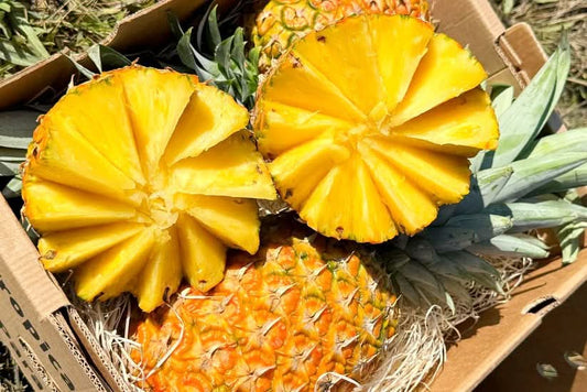 Ananas Flugware reifgeerntet (Stk. ca. 1,5kg-2kg) Aktionspreis %