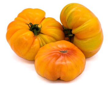 Tomaten "Ananas" (alte Sorte)