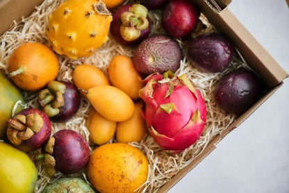 Annas Exotic-Box Bio & wild