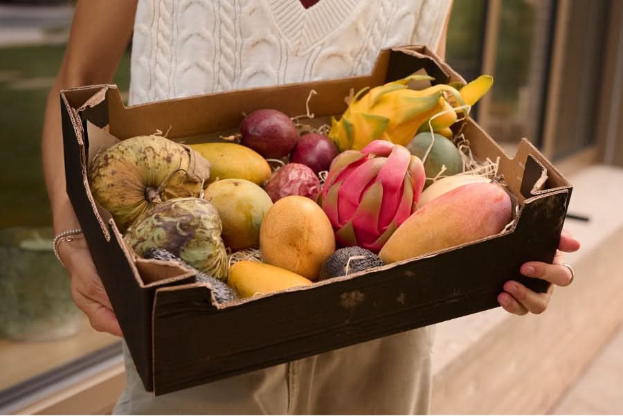 Annas Exotic-Box Bio & wild