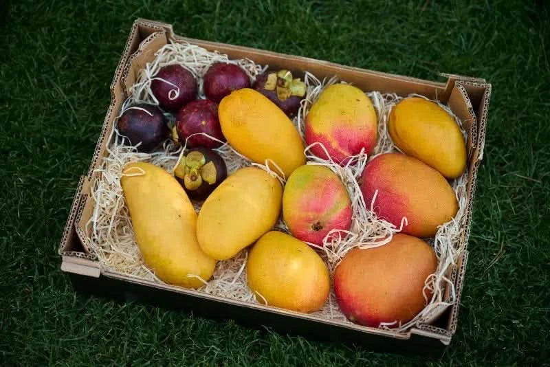 Anna’s Bio Mango Tango Box
