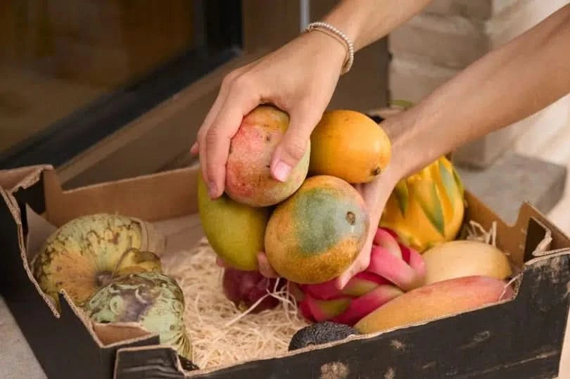 Annas Exotic-Box Bio & wild