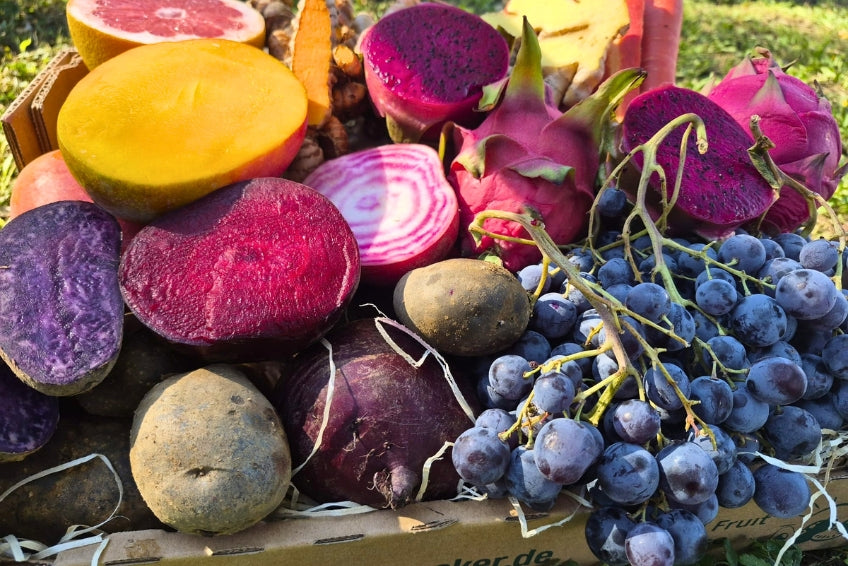 Antioxidantien Box