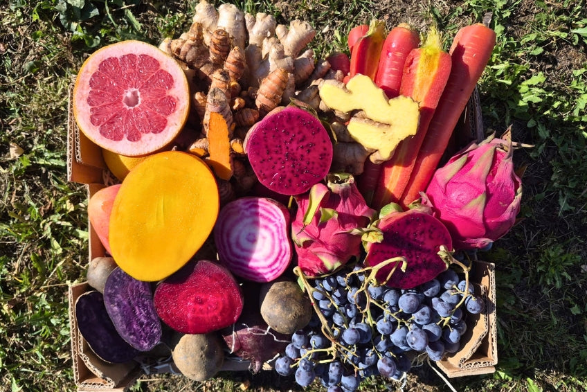 Antioxidantien Box