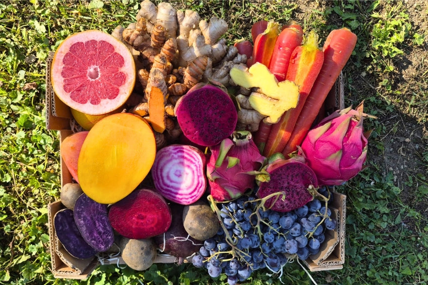 Antioxidantien Box