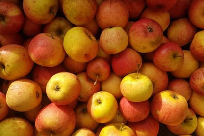 Bio Apfel „Goldparmäne“ – aromatisch, nussig & süß, ideal frisch oder als Dessertapfel.