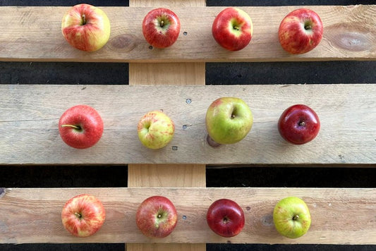 Apfel Entdeckerbox Bio regional 3kg
