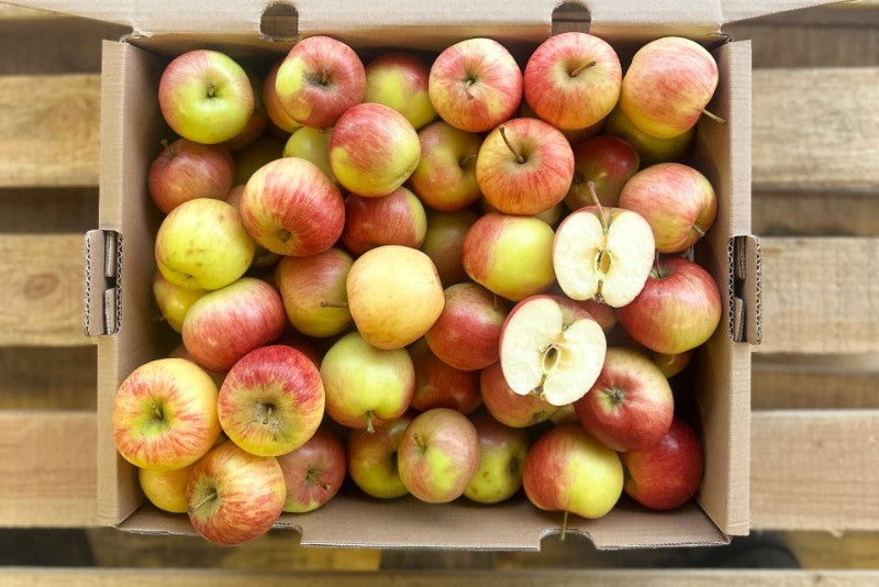 Apfel Rettungsaktion Bio von Philipp Erletz regional 3,5kg – Produktfoto