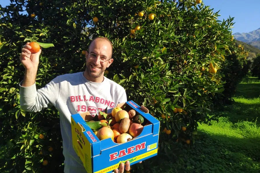 Mandarinen Ortanique Bio von Apostolis (Kreta)
