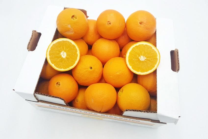 Orangen Bio „Valencia-Late“