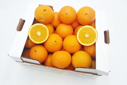 Orangen Bio „Valencia-Late“