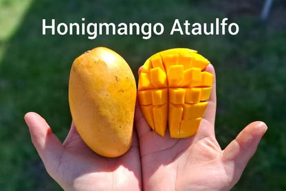 Mango, Avo & Passion Box - 3.5 Kg