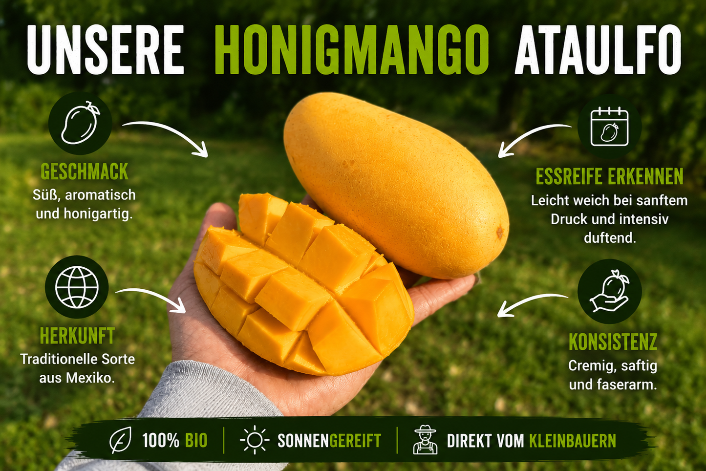 Mango Honig Ataulfo Bio Sonderaktion %
