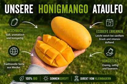 Mango Honig Ataulfo Bio Sonderaktion %
