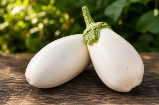 Auberginenrarität weiss Bio aus Sizilien