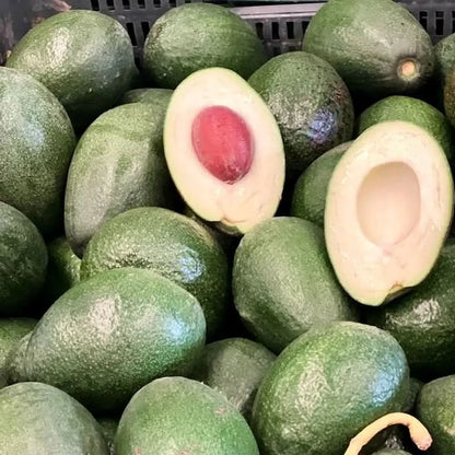 Avocado Bacon kaufen Spanien Bio Frucht aufgeschnitten mit Kern und cremigem Fruchtfleisch
