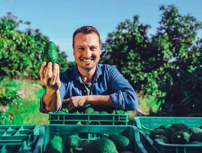 Ätna Vulkan-Avocado Bacon Bio Sizilien Sparpreis-Box
