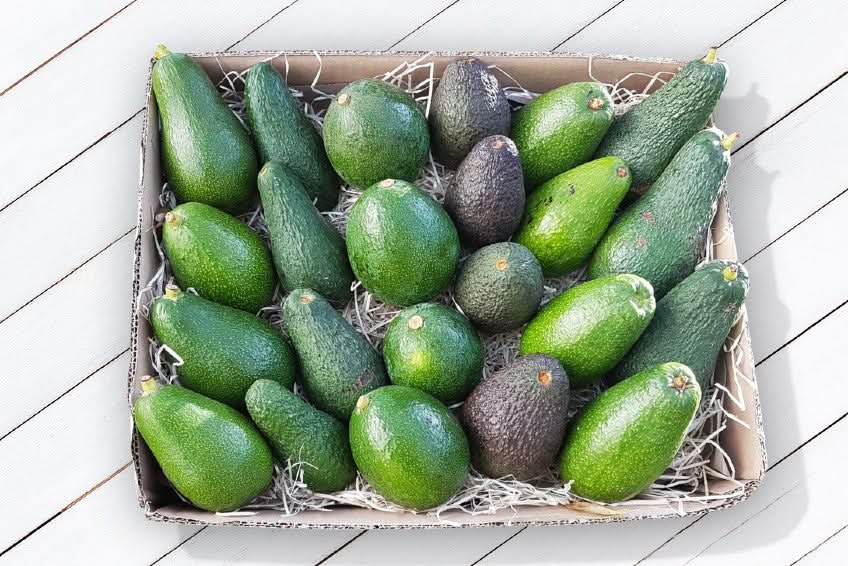 Avocadobox "Klick & Mix" Aktionspreis % 2,5kg