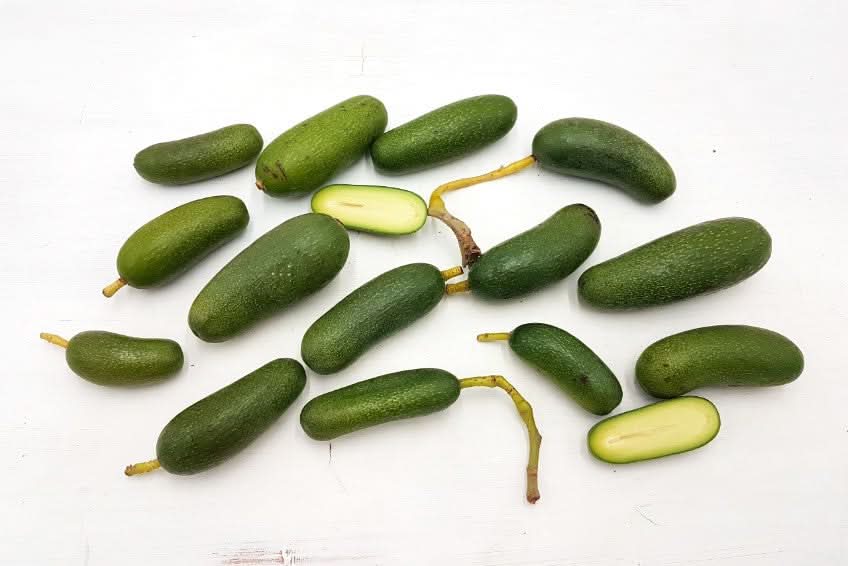 Avocado Cocktail Mini Avocados ohne Kern mit essbarer Schale und cremigem Fruchtfleisch