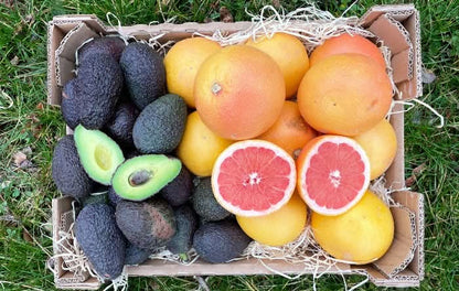 Bio Avocado & Grapefruit Retterbox % 4kg