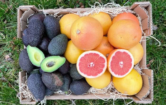 Bio Avocado & Grapefruit Retterbox % 4kg