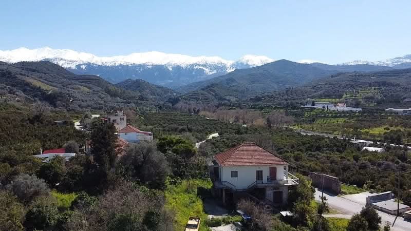 Avocado Hass kaufen Kreta – Blick auf die Plantage und die Berge mit Schnee im Hintergrund
