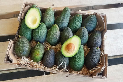 Avocado Hass kaufen Spanien – frische Bio-Avocados in umweltfreundlicher Box direkt vom Bauern
