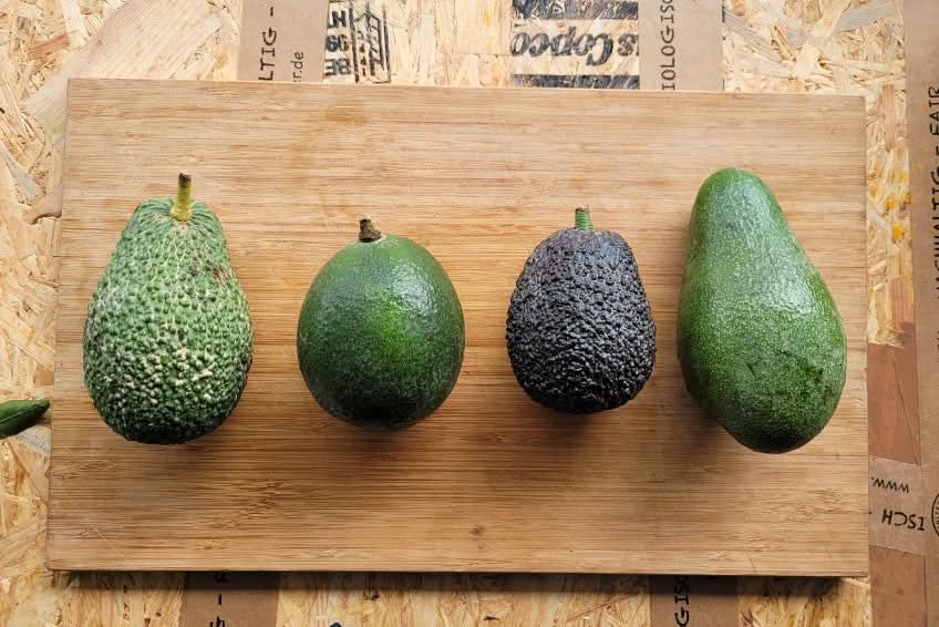 Avocadobox "Klick & Mix" Aktionspreis % 2,5kg