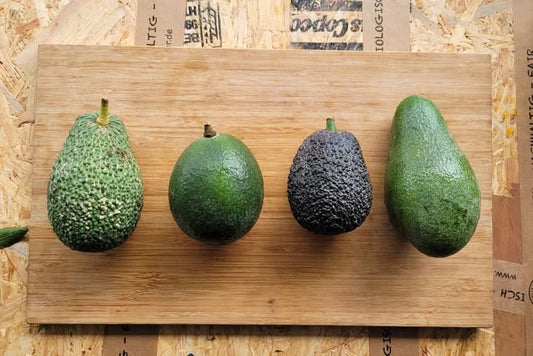 Avocadobox "Klick & Mix" Aktionspreis % 2,5kg