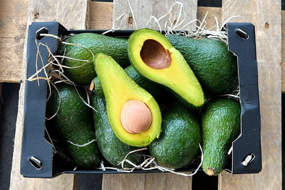 Avocado-Rarität Insana wild 13 Monate baumgereift von Julian Sparpreis-Box %