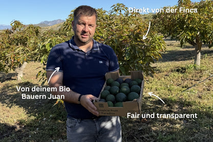 Avocado "Späternte" Mix von Juan 3kg