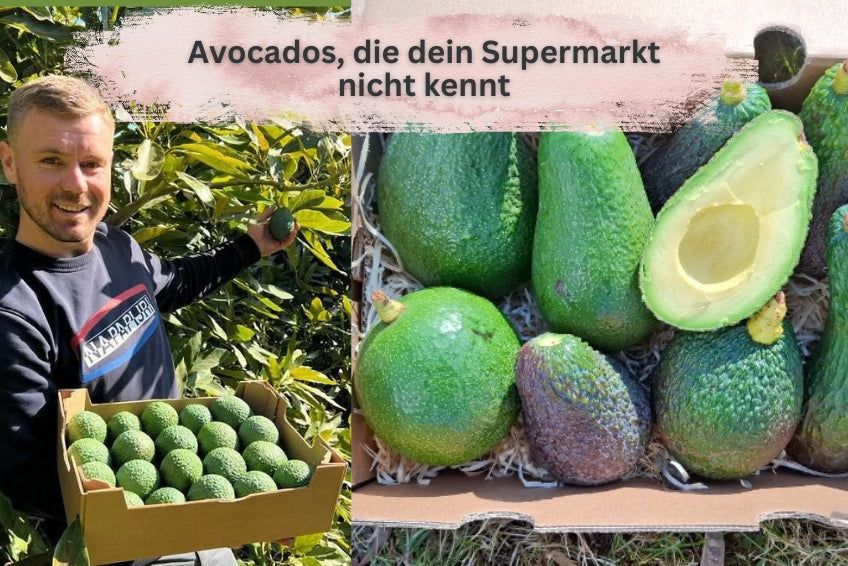 Baue deine eigene Trübenecker Avocado Box