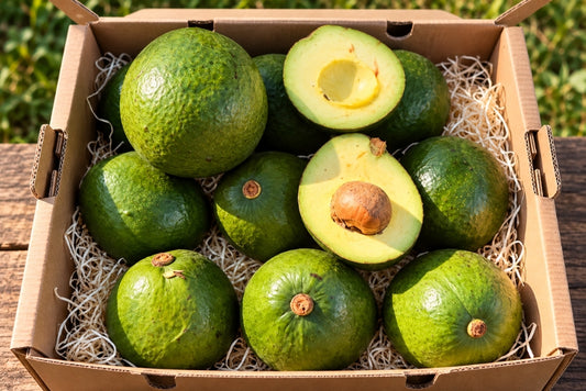 Avocado Margarida 4kg Box Sparpreis %
