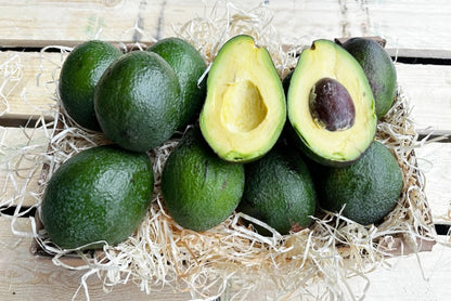 Avocado Salvaje wild von Julian