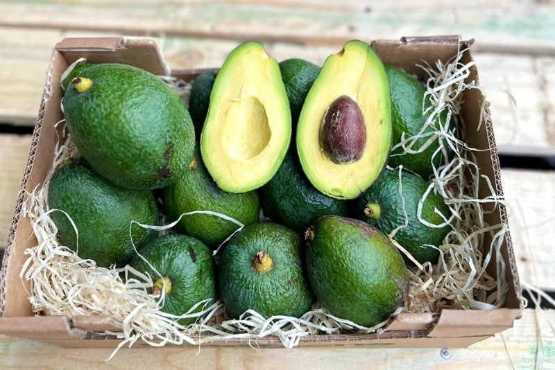 Avocado Salvaje wild von Julian