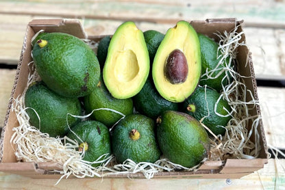 Avocado Salvaje wild von Julian