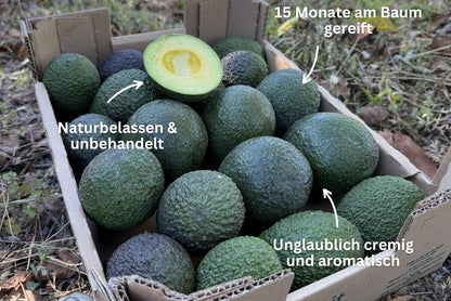 Avocado "Späternte" Mix von Juan 3kg