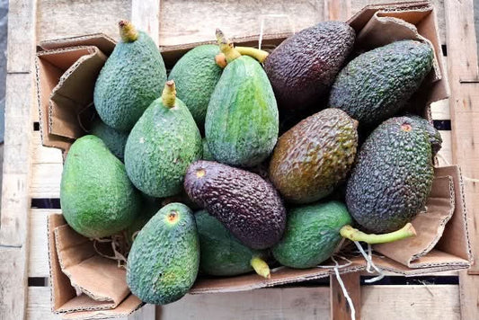 Avocado Baby-Mix Wochenaktion