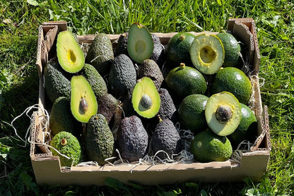 Avocado Baby-Mix Sonderaktion %