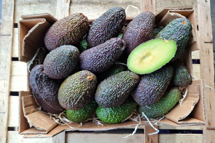 Avocado Hass Mini von Nicolas Retterbox %