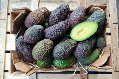 Avocado Hass Mini von Nicolas Retterbox %