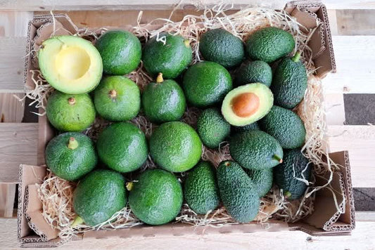 Baby-Avocados Reed & Hass Bio von Carlos Retterbox