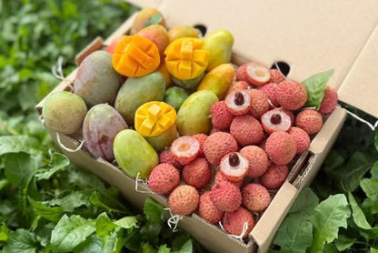 Babymango & Litschi Duo Box