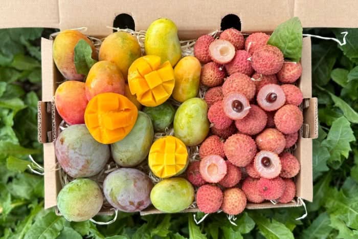 Babymango & Litschi Duo Box