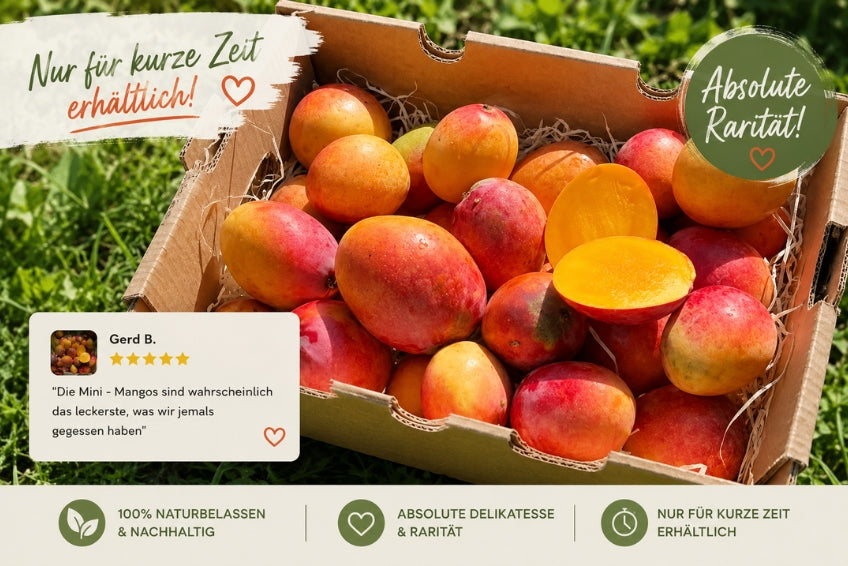 Baby-Mango Irwin Bio von Julian